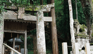 水神社の鳥居と狛犬