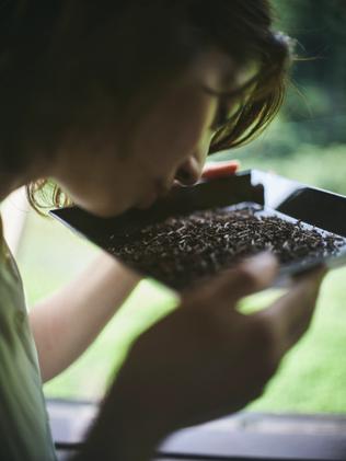 お茶の香りを嗅ぐ女性